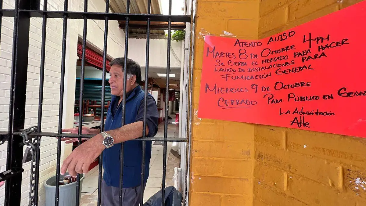 Mercado Hidalgo, mercado Chiautempan (3)